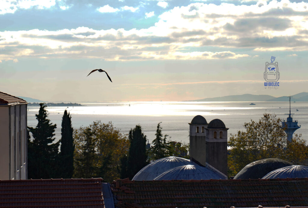 Widok na Bosfor w Stambule o zachodzie słońca – latająca mewa nad dachami i kopułami zabytkowych budynków, z wyłaniającymi się wyspami w tle.
