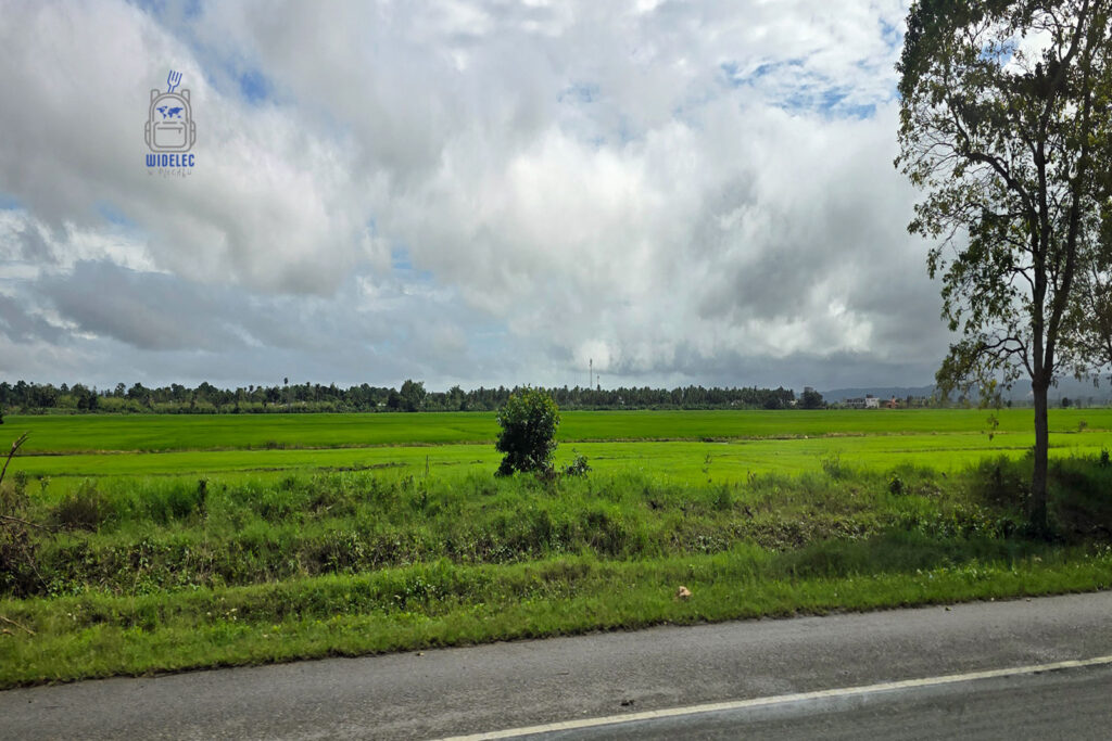 Zielone, rozległe pola ryżowe na Dominikanie, roztaczające się pod dramatycznie zachmurzonym niebem. Ten widok, uchwycony z bocznej drogi, prezentuje ważny aspekt rolnictwa w kraju, gdzie ryż stanowi kluczowy składnik lokalnej diety
#widelecwpleacaku
#dominikana - z wschodu na zachód - z południa na północ