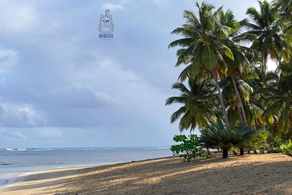 Plaża na Dominikanie z szeregiem majestatycznych palm rozciągających się wzdłuż błękitnego oceanu. Delikatnie zacienione piaski i spokojne fale tworzą idealne tło dla odprężającego dnia w tropikalnym raju. Chmury na niebie dodają głębi i kontrastu do tego malowniczego widoku, przyciągając miłośników plażowego wypoczynku i przyrody
#widelecwpleacaku
#dominikana - z wschodu na zachód - z południa na północ