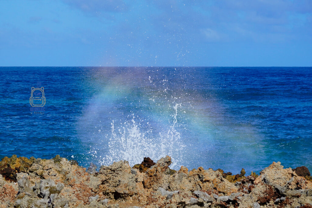 Siła oceanu na Dominikanie – rozbijające się o skaliste wybrzeże fale tworzą efektowną mgiełkę wodną, w której promienie słońca malują delikatną tęczę. To zjawiskowe połączenie potęgi żywiołu i naturalnego piękna pokazuje nieprzewidywalność i majestat Morza Karaibskiego
#widelecwpleacaku
#dominikana - z wschodu na zachód - z południa na północ