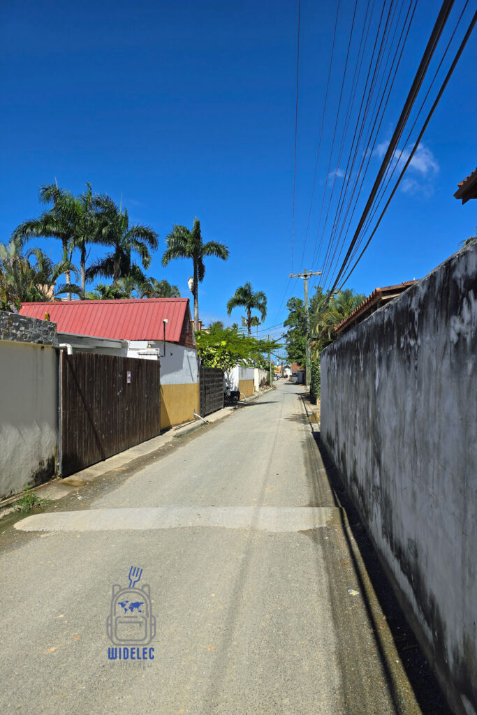 Spokojna, słoneczna uliczka na Karaibach z charakterystycznymi, kolorowymi domami i bujną zielenią palm. Niebo bezchmurne i głęboko błękitne, nadaje scenerii tropikalny nastrój. Scena oddaje esencję karaibskiego klimatu, idealna do opisu lokalnych podróży i odkrywania kultury Kreoli
#widelecwpleacaku
dominikana - z wschodu na zachód - z południa na północ