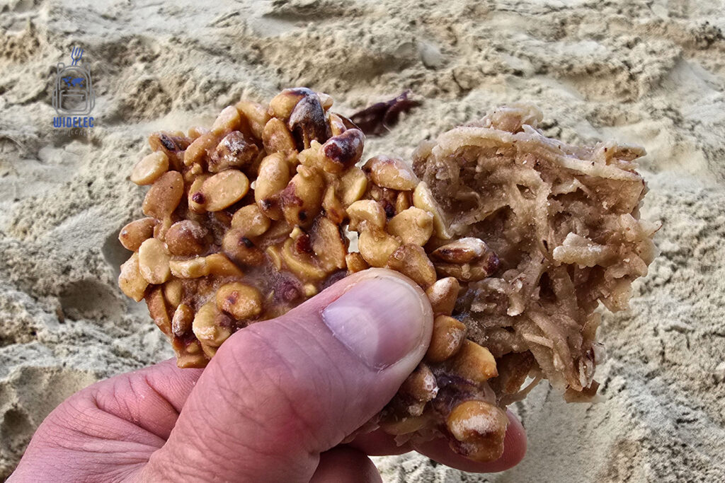 Na tle miękkiego piasku plaży, dłoń prezentuje tradycyjne dominikańskie słodkości – chrupiące, pełne orzechów i lokalnych składników. Na zdjęciu widoczne są dwa rodzaje przekąsek: jedna z kokosem druga orzechowy, karmelizowany krążek, co świadczy o różnorodności i bogactwie smaków kuchni Dominikany
#widelecwpleacaku
#dominikana - z wschodu na zachód - z południa na północ