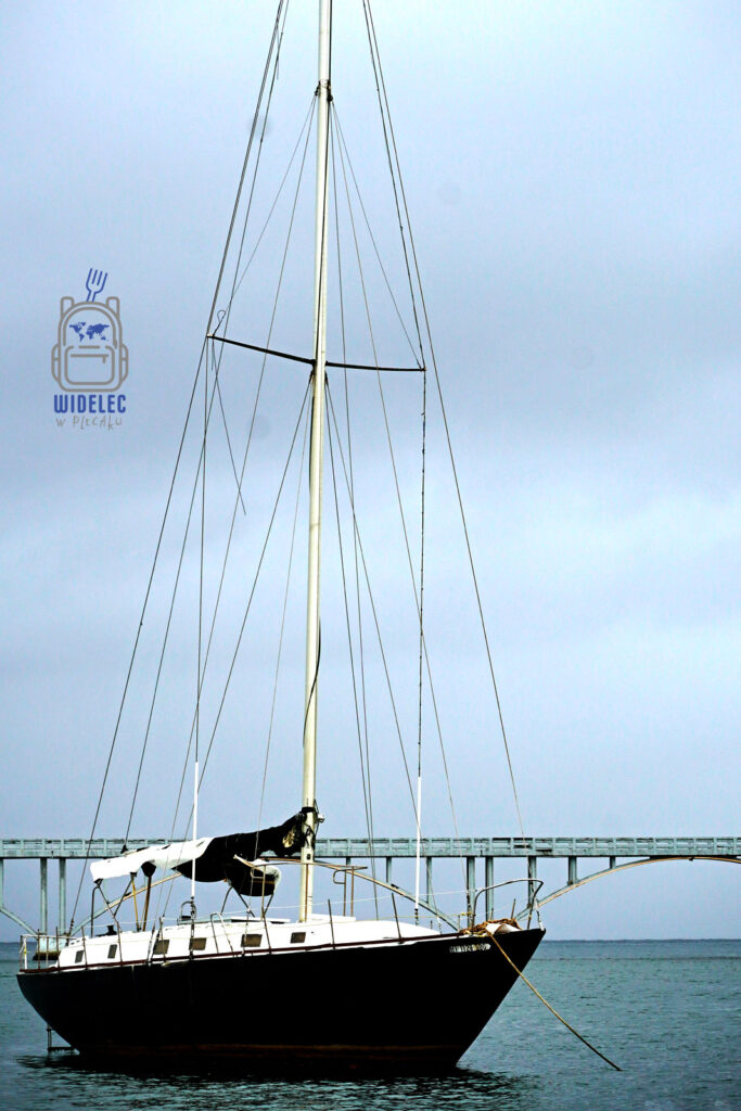 Jacht zakotwiczony na spokojnych wodach Zatoki Samana w Dominikanie, z tłem pochmurnego nieba i delikatnie falującej wody. Obraz przedstawia spokój i urok morskich podróży po Karaibach, zachęcając do odkrywania zjawiskowych krajobrazów i relaksu w otoczeniu naturalnego piękna wyspy
#widelecwpleacaku
#dominikana - z wschodu na zachód - z południa na północ
