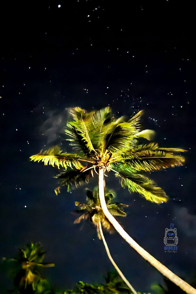 Palma kokosowa wystająca nad nocne niebo w Las Galeras, Dominikana, oświetlona przez rozgwieżdżone niebo. Widok z dołu na królewską palmę z rozłożystymi, lśniącymi liśćmi, przecinającymi ciemność, tworzą niezapomniany klimat karaibskiej nocy. W tle słychać szum oceanu, a ciepły, tropikalny wiatr delikatnie porusza liśćmi, dodając magii tej wyjątkowej chwili
#widelecwpleacaku
#dominikana - z wschodu na zachód - z południa na północ