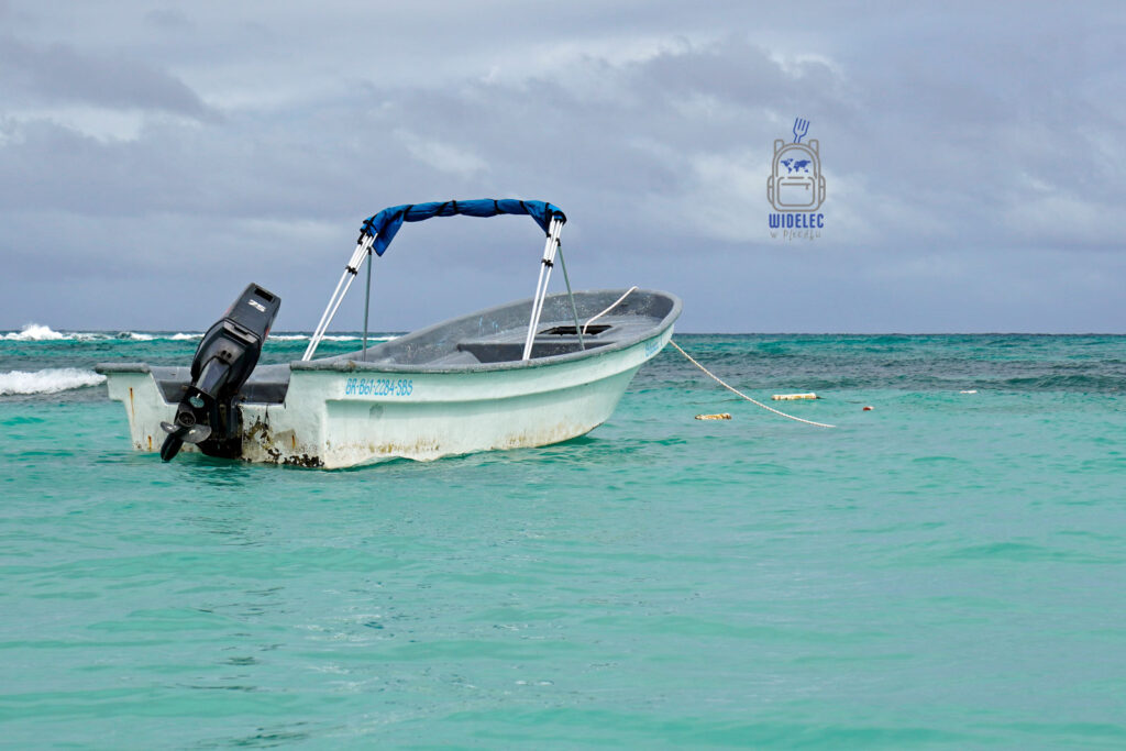 Biała motorówka z błękitnym zadaszeniem dryfuje na spokojnych, turkusowych wodach Oceanu Atlantyckiego u wybrzeży Dominikany. Mimo szarego nieba, woda zachowuje swoją kryształową przejrzystość, a falowanie oceanu dodaje dynamiki tej malowniczej scenie, typowej dla karaibskich krajobrazów
#widelecwpleacaku
#dominikana - z wschodu na zachód - z południa na północ