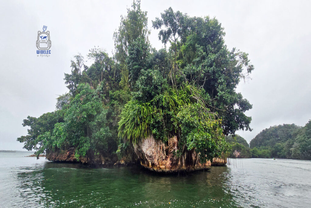 Zielona, zalesiona wyspa w parku narodowym Los Haitises na Dominikanie, otoczona przez spokojne wody. Ta mała oaza roślinności to przykład bogatej ekosystemów mangrowych charakterystycznych dla tego regionu. Wyspa jest istotnym siedliskiem dla wielu gatunków roślin i zwierząt, a jej dziewicza przyroda przyciąga miłośników przygód i natury z całego świata
#widelecwpleacaku
#dominikana - z wschodu na zachód - z południa na północ
