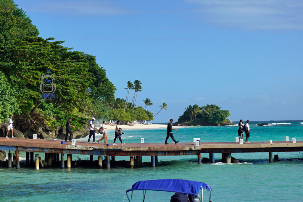 Żywy obraz z Dominikany: turystyczny pomost drewniany na tle lazurowych wód Oceanu Atlantyckiego i malowniczego krajobrazu z gęsto zalesioną wysepką w oddali. Ludzie spacerujący po pomoście dodają dynamiki tej idyllicznej scenie, która idealnie łączy aktywność i relaks w tropikalnym raju
#widelecwpleacaku
#dominikana - z wschodu na zachód - z południa na północ