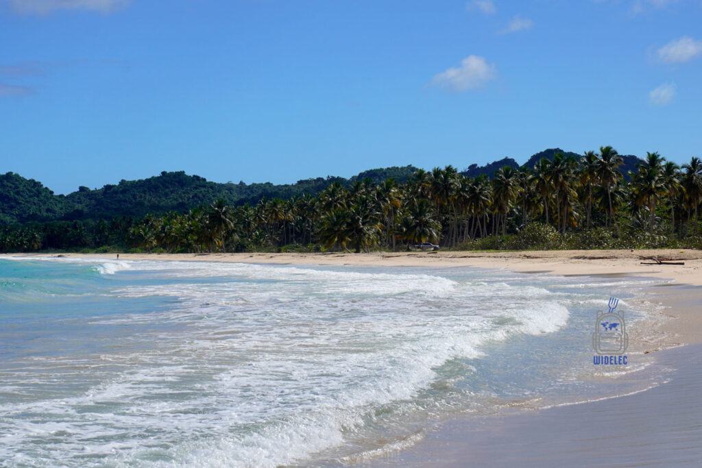 Przepiękny widok na dziewiczą, piaszczystą plażę na Dominikanie otoczoną gęstym pasem palm. Złote piaski i turkusowe wody Karaibów w połączeniu z intensywnie zielonymi palmami tworzą idealne tło dla tych, którzy pragną odetchnąć od codziennego zgiełku i zanurzyć się w tropikalnym raju
#widelecwpleacaku
#dominikana - z wschodu na zachód - z południa na północ