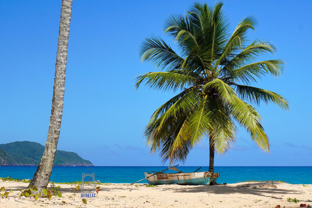 Kartka z rajskiej Dominikany: błękitne wody otaczające piękną, białą plażę, udekorowaną majestatycznymi palmami kokosowymi i tradycyjną, drewnianą łódką na pierwszym planie. Pejzaż, który bez wątpienia przykuwa uwagę każdego miłośnika karaibskich krajobrazów
#widelecwpleacaku
#dominikana - z wschodu na zachód - z południa na północ