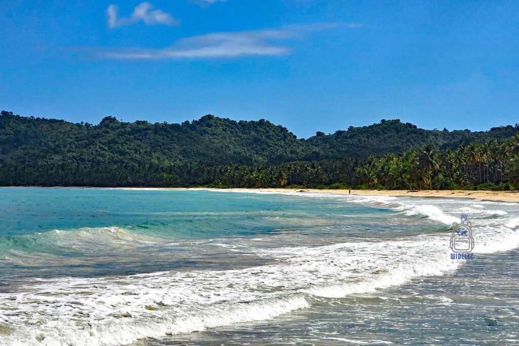 Zapierająca dech w piersiach panorama piaszczystej plaży w Dominikanie z widokiem na Ocean Atlantycki. Turkusowe fale delikatnie uderzają o złocisty brzeg, za którym wznoszą się gęste, zielone dżungle. Sceneria idealna na wypoczynek wśród karaibskiej przyrody, wzbogacona o wysokie, rozłożyste palmy tworzące tropikalny klimat. Idealne miejsce na relaks i ucieczkę od codzienności
#widelecwpleacaku
#dominikana - z wschodu na zachód - z południa na północ