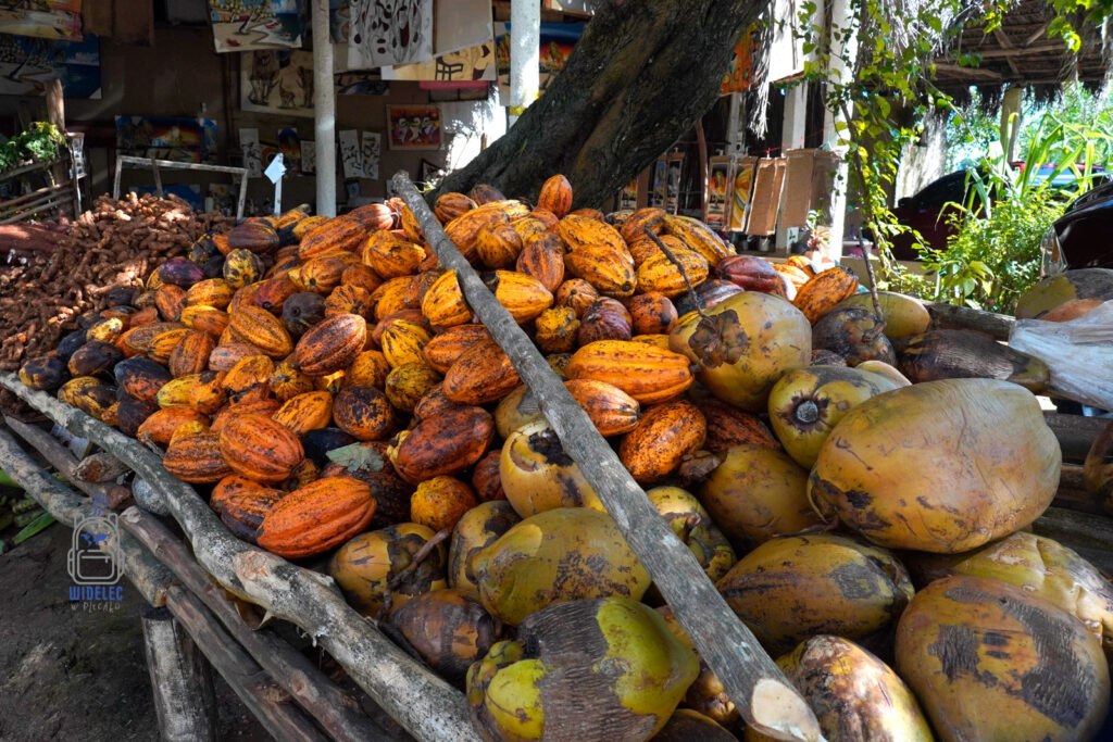 toisko z egzotycznymi owocami w Dominikanie, prezentujące bogactwo lokalnego jedzenia. Na pierwszym planie widoczne są stosy świeżego kakao i kokosów, układane na drewnianym stole pod drzewem. Tło zdjęcia wypełniają kolorowe obrazy i rękodzieła, co podkreśla kulturalną atmosferę tego miejsca
#widelecwpleacaku
#dominikana - z wschodu na zachód - z południa na północ