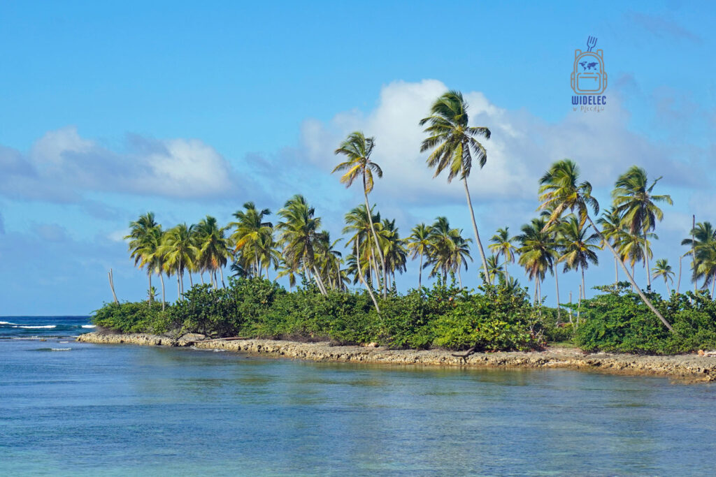 Zjawiskowe, tropikalne wybrzeże Dominikany z linią wysokich palm położonych na skraju skalistej, zielonej formacji przy spokojnym, błękitnym oceanie. Krajobraz emanuje spokojem i pięknem naturalnej, karaibskiej scenerii, która przyciąga turystów poszukujących urokliwych zakątków i idealnych miejsc na relaks nad wodą
#widelecwpleacaku
#dominikana - z wschodu na zachód - z południa na północ