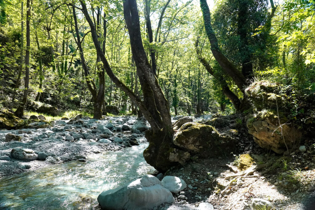 Wąwóz Enipeas w masywie Olimpu – rzeka, skały i porośnięty drzewami szlak u podnóża boskiej góry Grecji. Saloniki – Bogowie, Galeriusz i Gyros, widelecwplecaku.pl.