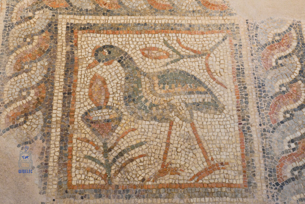 Kolorowa mozaika z wczesnochrześcijańskich Salonik przedstawiająca ptaka w otoczeniu roślinnych motywów dekoracyjnych