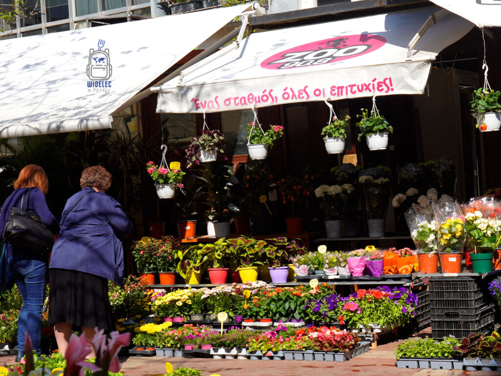 Kolorowy stragan z kwiatami na targu w Salonikach – bogactwo doniczek i sadzonek ustawionych na ulicy, dwie kobiety przyglądają się roślinom w miejskim słońcu.