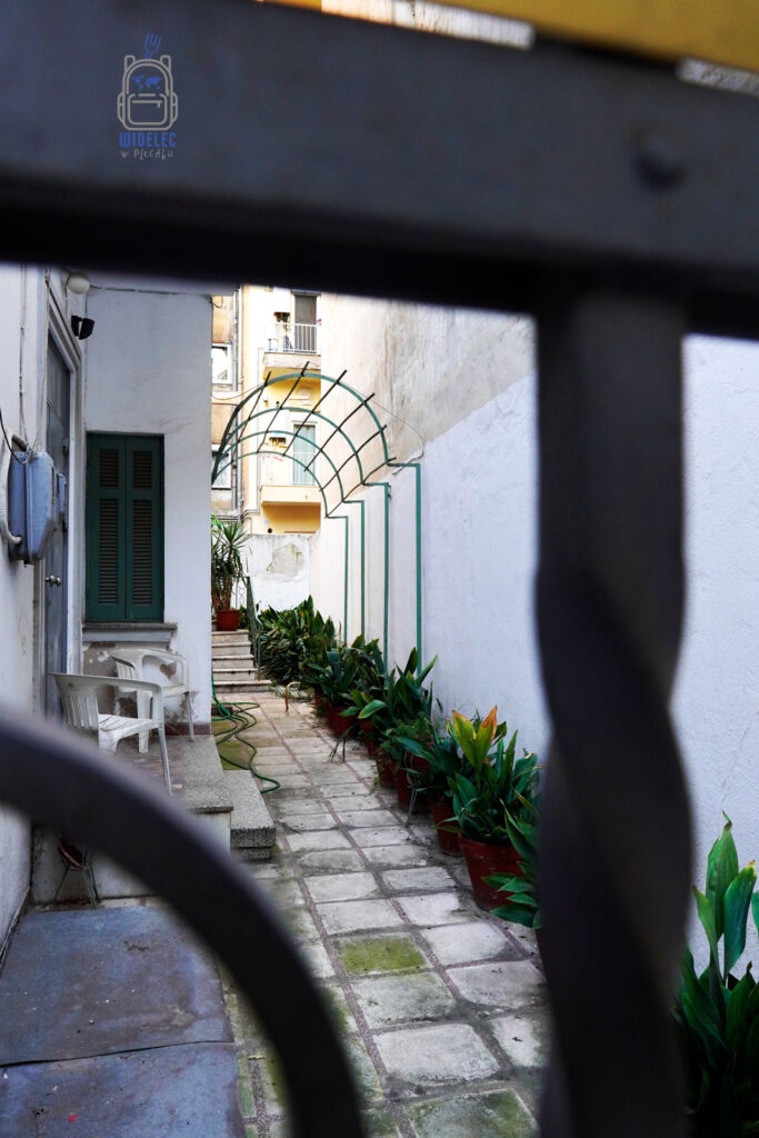 Wąskie podwórko w Salonikach widziane przez kratę – rząd donic z zielenią, białe plastikowe krzesła i metalowy łuk tworzą kameralną przestrzeń codziennego życia.