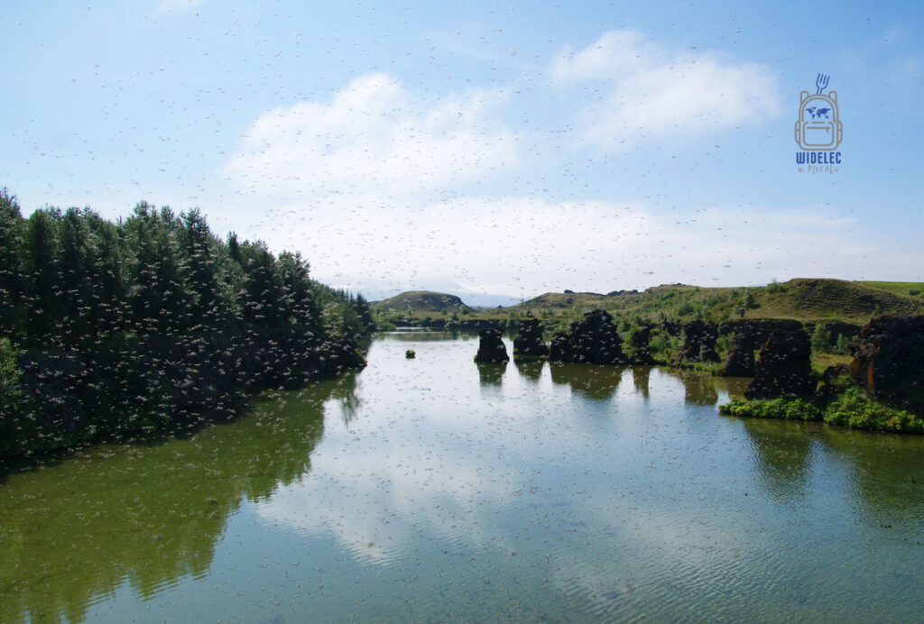 Chmary muszek unoszące się nad taflą jeziora Mývatn otoczonego formacjami lawowymi i zielenią, widelecwplecaku.pl