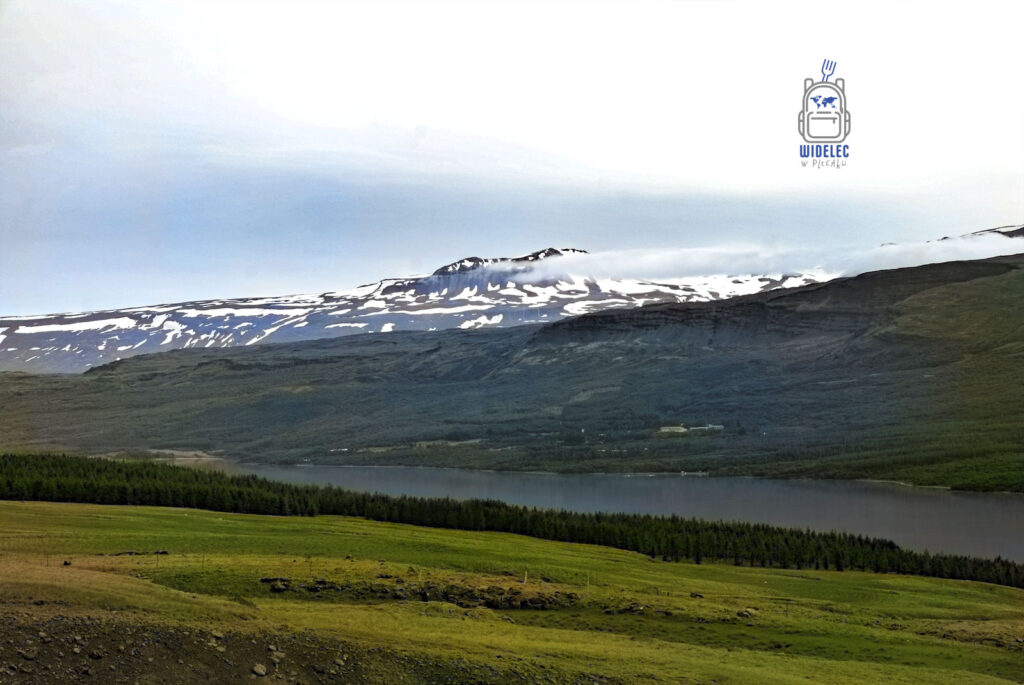 panorama zielonych dolin i lasów nad rzeką lub fiordem, w tle góry ze śnieżnymi czapami i niskimi chmurami; spokojny krajobraz – widelecwplecaku.pl