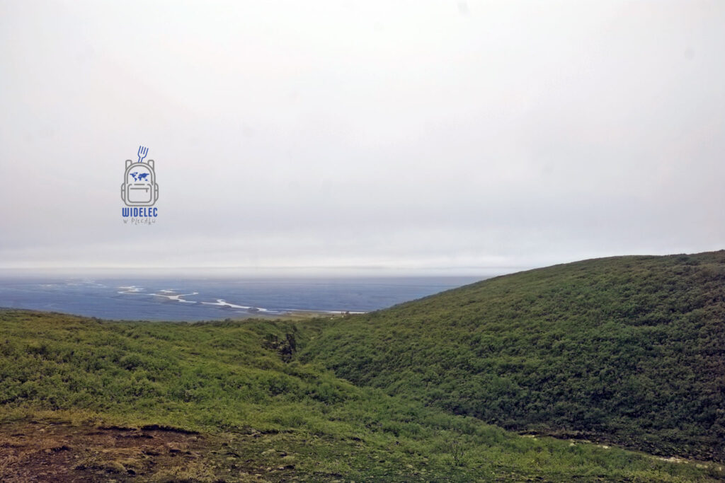 Panorama z zielonymi wzgórzami i widokiem na potężny lodowiec Vatnajökull w Islandii, widelecwplecaku.pl