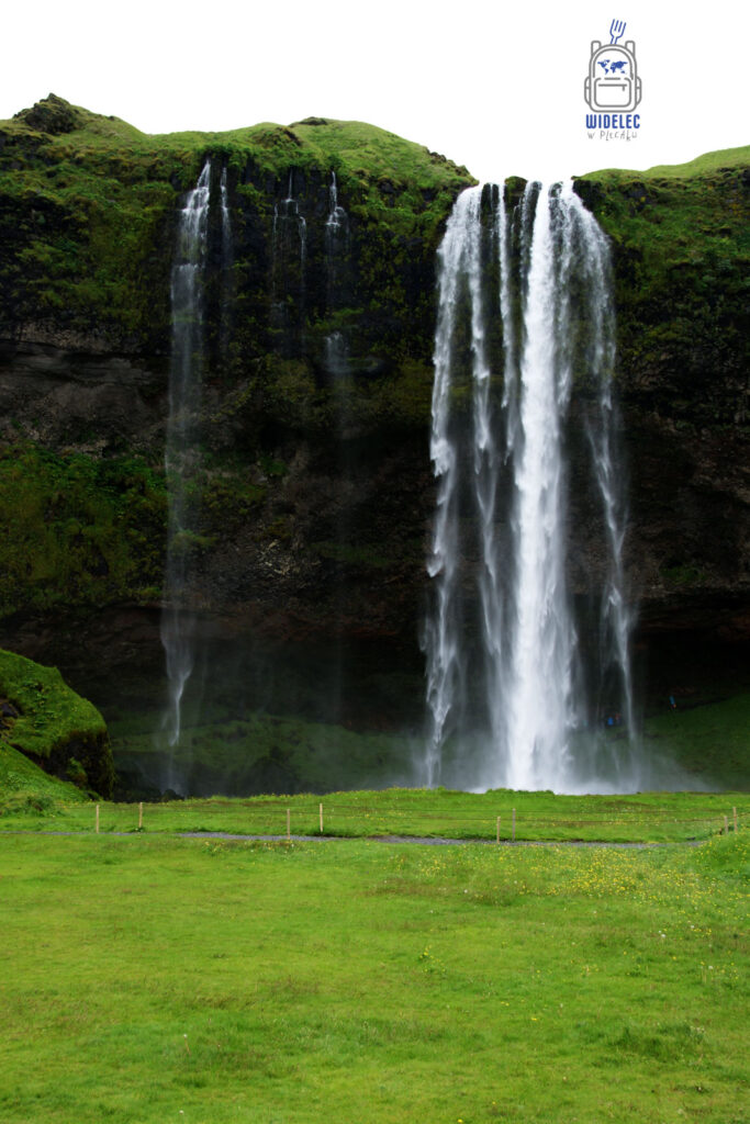 Islandia – wodospad Seljalandsfoss spadający z zielonego klifu, z możliwością obejścia za ścianą wody; jedno z najbardziej magicznych miejsc południa – widelecwplecaku.pl