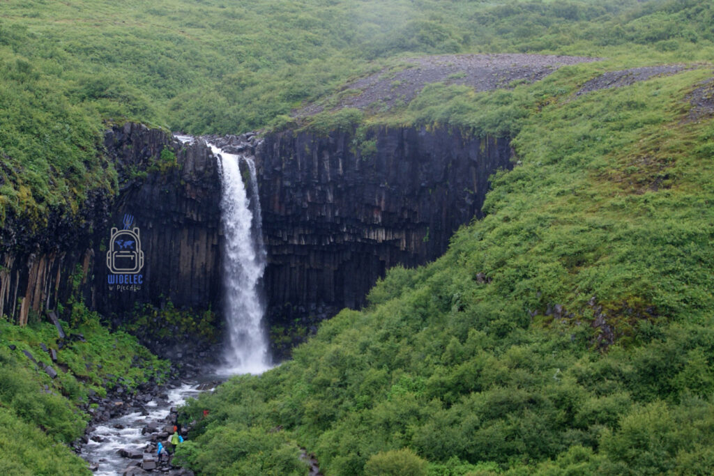Islandia – wodospad Svartifoss spadający w otoczeniu bazaltowych kolumn, czarne skały kontrastują z zielenią roślinności; naturalna katedra południa – widelecwplecaku.pl
