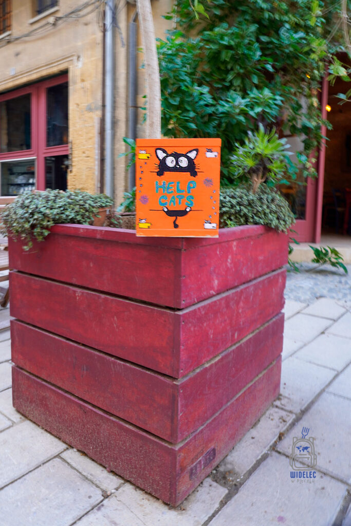 Skrzynka Help Cats na Cyprze – troska o koty i codzienne życie wyspy dobrej pogody i dobrego humoru, Cypr podróże i turystyka lokalna – Cypr – wyspa dobrej pogody i dobrego humoru | widelecwplecaku.pl