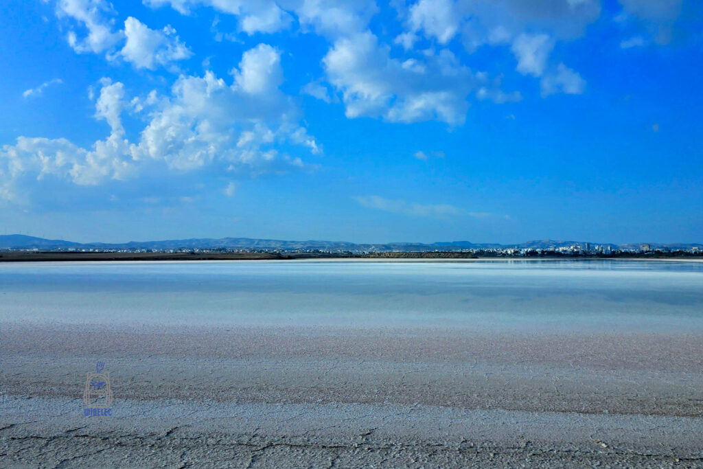 Słone jezioro w Limassol na Cyprze – spokojna tafla wody, krystalizująca się sól i błękitne niebo nad miastem