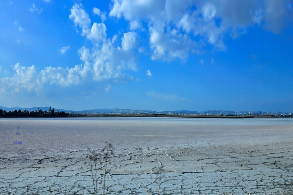 Słone jezioro na Cyprze w okolicach Limassol – krajobraz wyspy dobrej pogody i dobrego humoru, turystyka i natura Cypru – Cypr – wyspa dobrej pogody i dobrego humoru | widelecwplecaku.pl