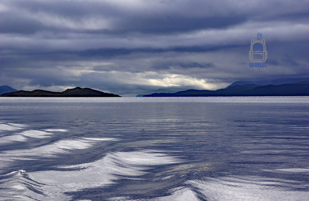 Widok na spokojne wody Cieśniny Beagle otoczone górami i wyspami Ziemi Ognistej niedaleko Ushuaia. Patagonia, dzika natura i krajobrazy końca świata – widelecwplecaku.pl