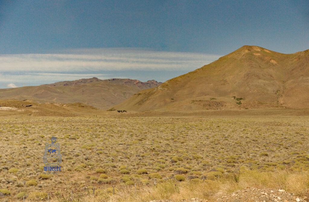 Surowy krajobraz stepu patagońskiego w Argentynie z górami na horyzoncie, Patagonia, Argentyna, widelecwplecaku