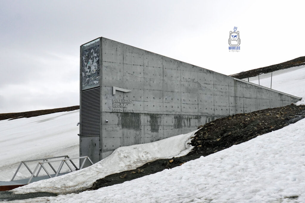 Wejście do Globalnego Skarbca Nasion na Svalbardzie (Svalbard Global Seed Vault).