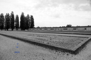 Czarno-biała fotografia przedstawiająca teren byłego nazistowskiego obozu koncentracyjnego Dachau w Niemczech. Na pierwszym planie widoczne są prostokątne, żwirowe powierzchnie otoczone betonowymi obramowaniami, wyznaczające miejsca, w których niegdyś stały baraki więźniarskie. W głębi kadru znajdują się zachowane lub zrekonstruowane baraki oraz rząd wysokich topoli. Puste przestrzenie, surowy krajobraz i pochmurne niebo podkreślają atmosferę zadumy nad tragiczną historią tego miejsca.